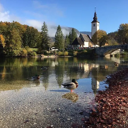 Jezero Hotel 4*