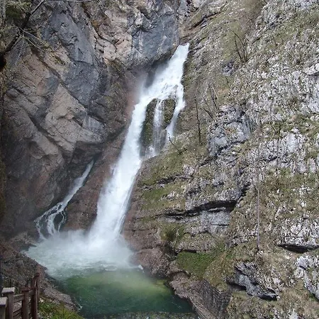 Jezero Bohinj
