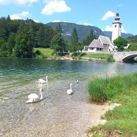 Jezero Hotel 4*