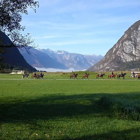 Jezero 4* Bohinj