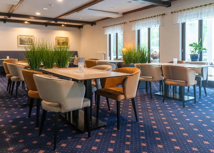 酒店 杰泽洛酒店 博希尼