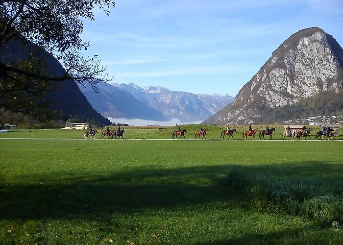 杰泽洛酒店 4* 博希尼